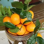 Villarancia Alezio