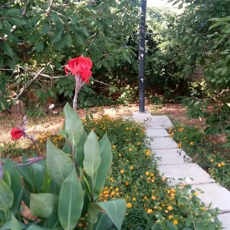 Bed & Breakfast Villarancia Alezio