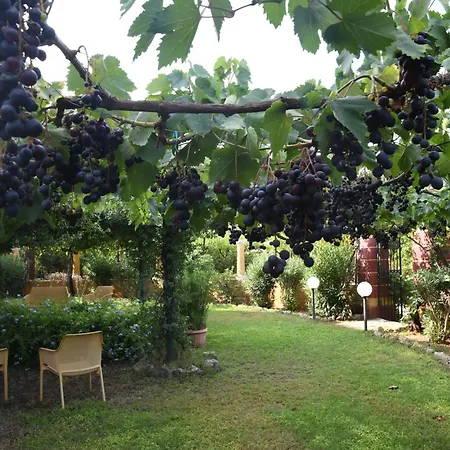 Bed & Breakfast Villarancia 4*